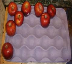 apple tray